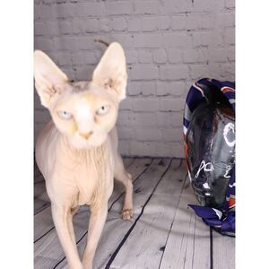 Vintage 60s Mod Striped Headscarf – Navy Orange Gray Silk-Look Retro Hair Wrap